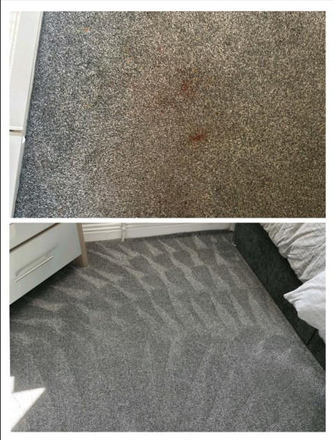 Carpet stain removal and hot water extraction